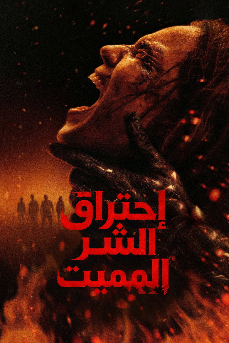 صورة الغلاف