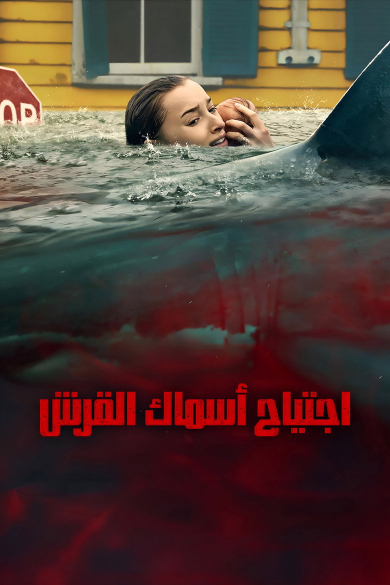 صورة الغلاف