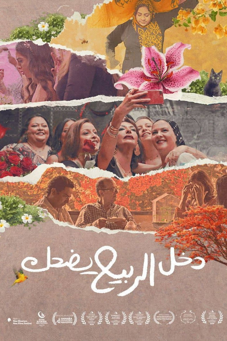 صورة الغلاف